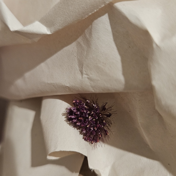 White Rose and Bergamot Relaxation Gift Box - Craft Flower Pallets Dry Flower - Picture 3 of 8